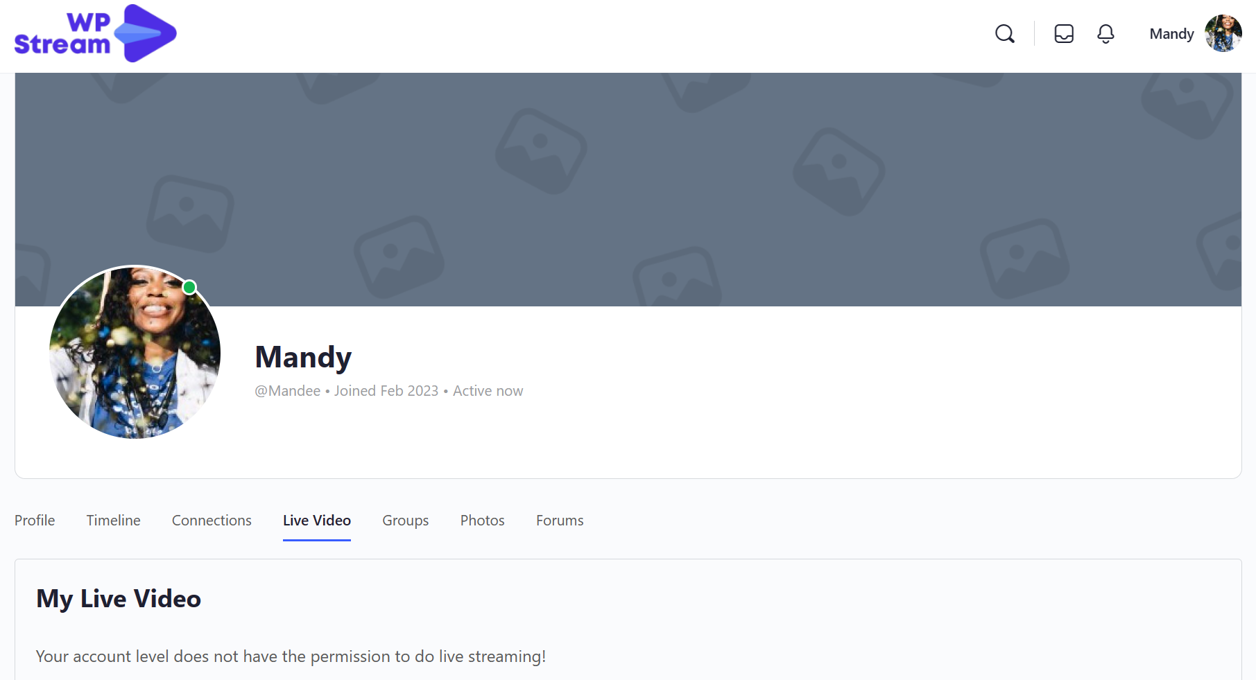 BuddyBoss Integration – WpStream Documentation